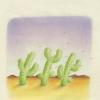 cacti in the winds 